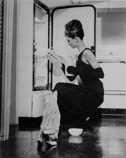 Audrey Hepburn: Only Home for a Moment