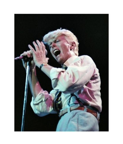 David Bowie on Serious Moonlight Tour